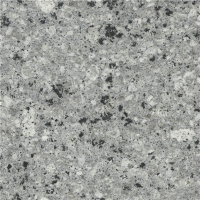 Gray Pearl.jpg