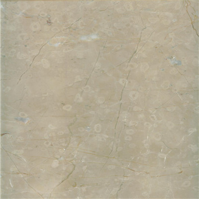 Julia beige B.jpg