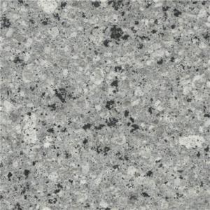Gray Pearl