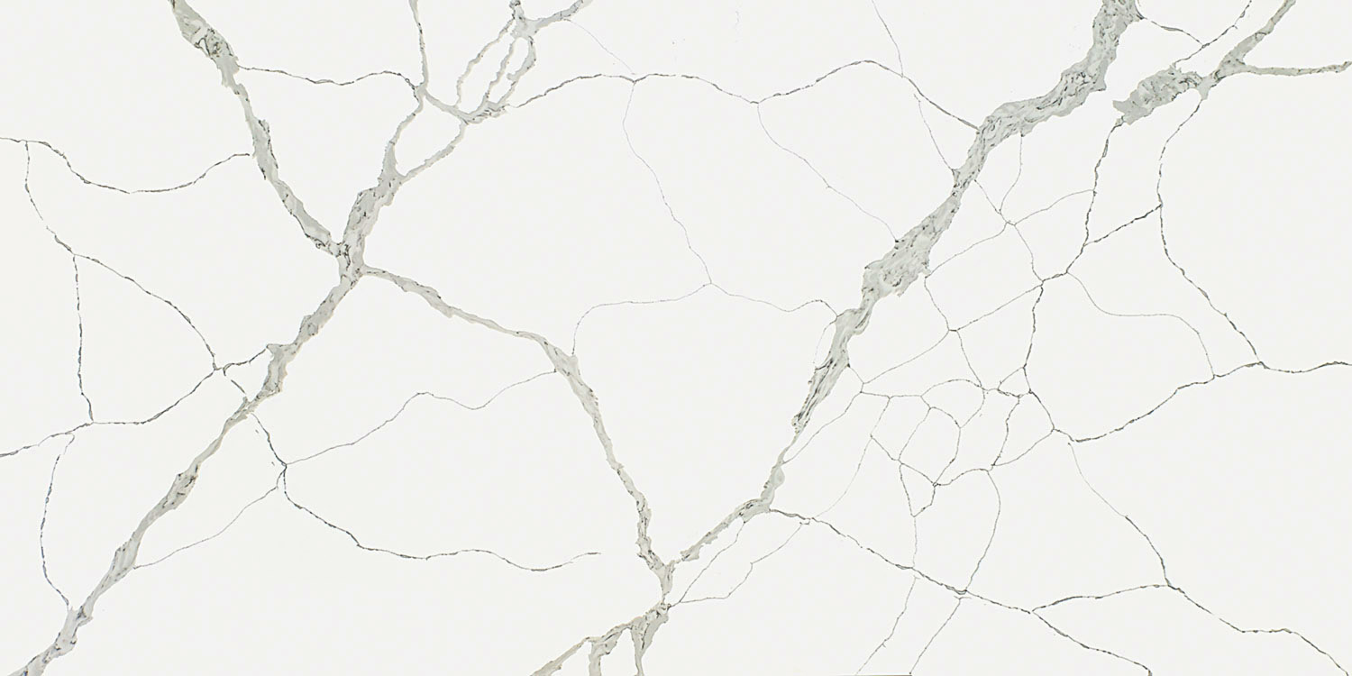 Calacatta-V022.jpg