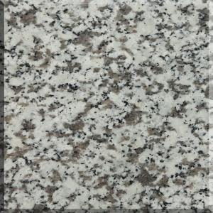 Jilin white
