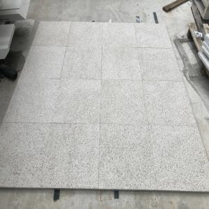 Mushroom Pool Tiles